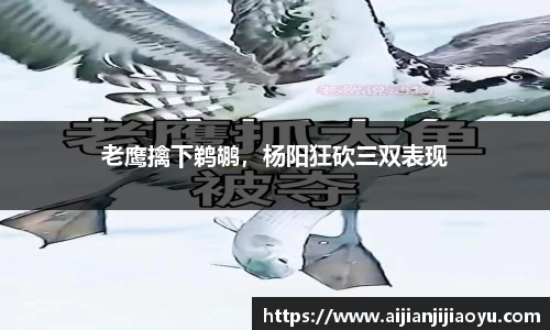 半岛·BOB官方网站