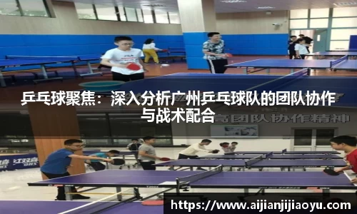 乒乓球聚焦：深入分析广州乒乓球队的团队协作与战术配合