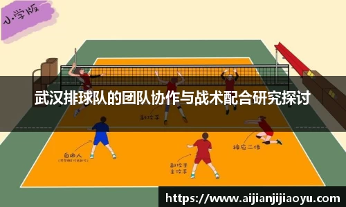 武汉排球队的团队协作与战术配合研究探讨