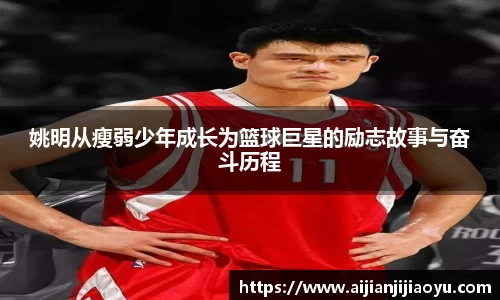 BoB半岛·体育中国官方网站