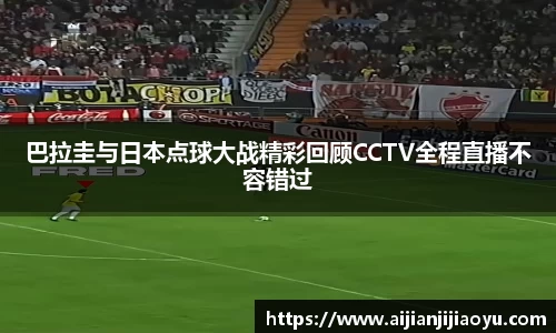 半岛·BOB官方网站
