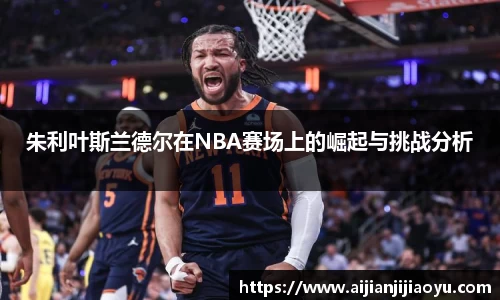 半岛bob·官方网站