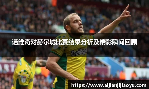 诺维奇对赫尔城比赛结果分析及精彩瞬间回顾
