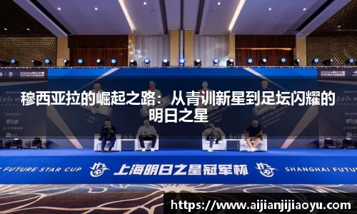 半岛·BOB官方网站